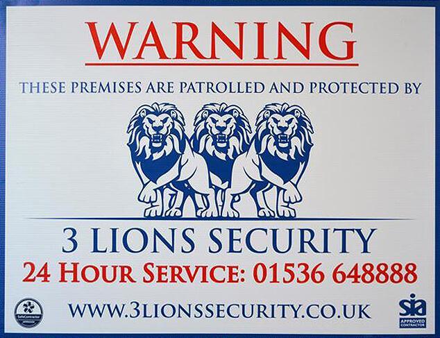 3 Lions Security Services